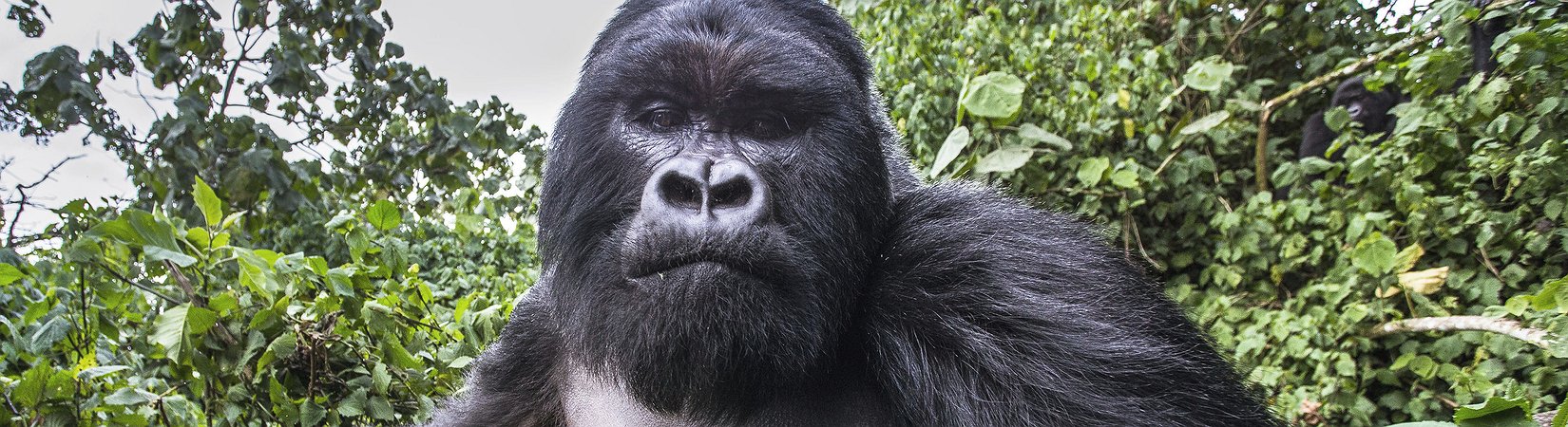 18 Fotos que vão mudar a sua visão de mundo