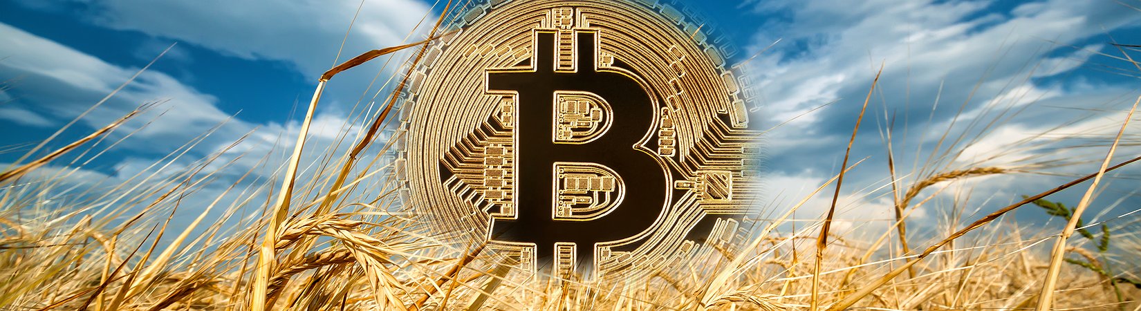 Criptomoedas: as últimas notícias de hoje, 12 de abril