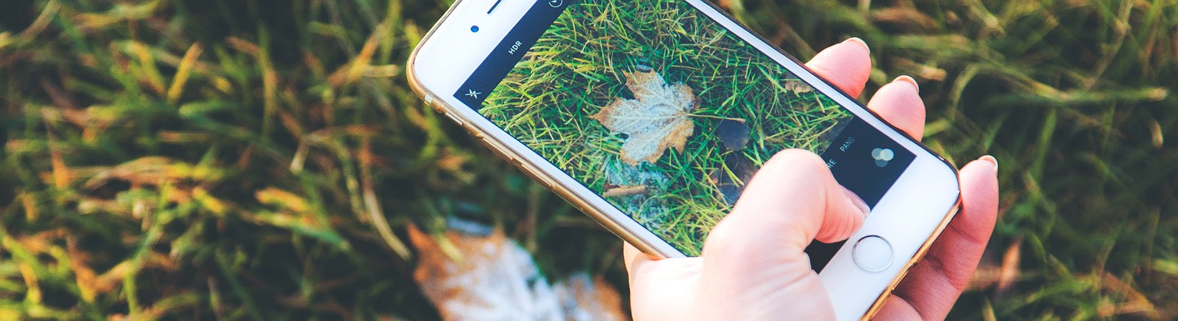 El iPhone del 10º aniversario costará más de 1.000 $