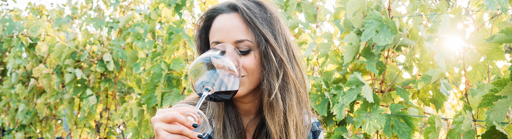 O segredo para comprar bom vinho acessível