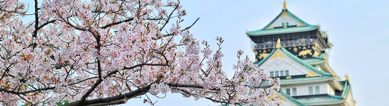 Line Messenger Obtains License for Crypto Exchange