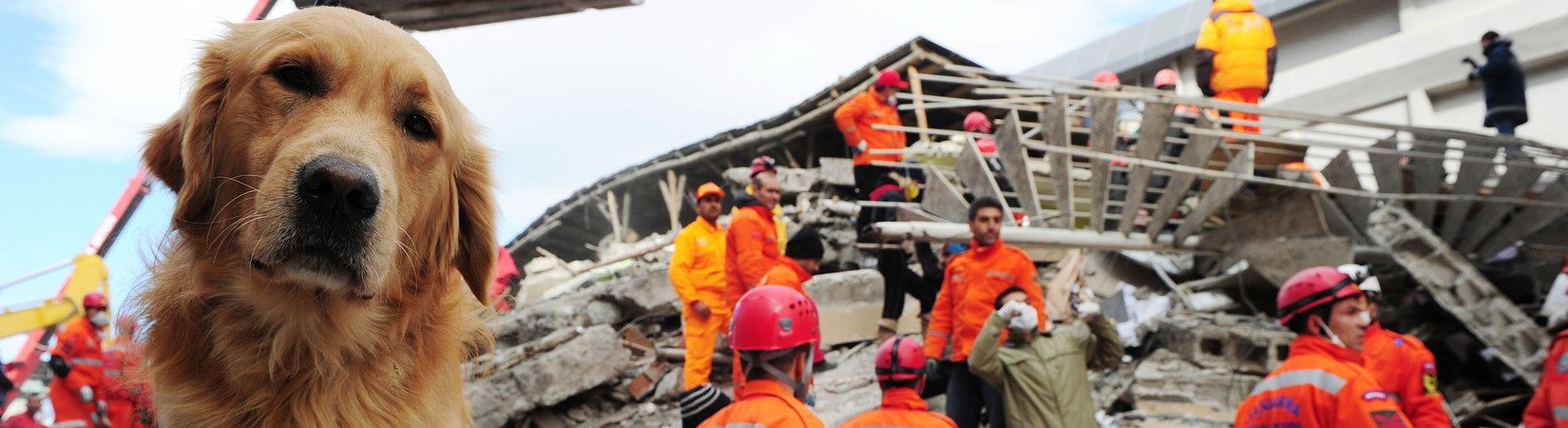 انهيار سوق الأسهم عام 2015