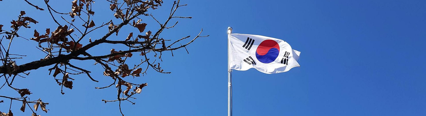 El Gobierno de Corea del Sur planea permitir los ETFs de bitcoin