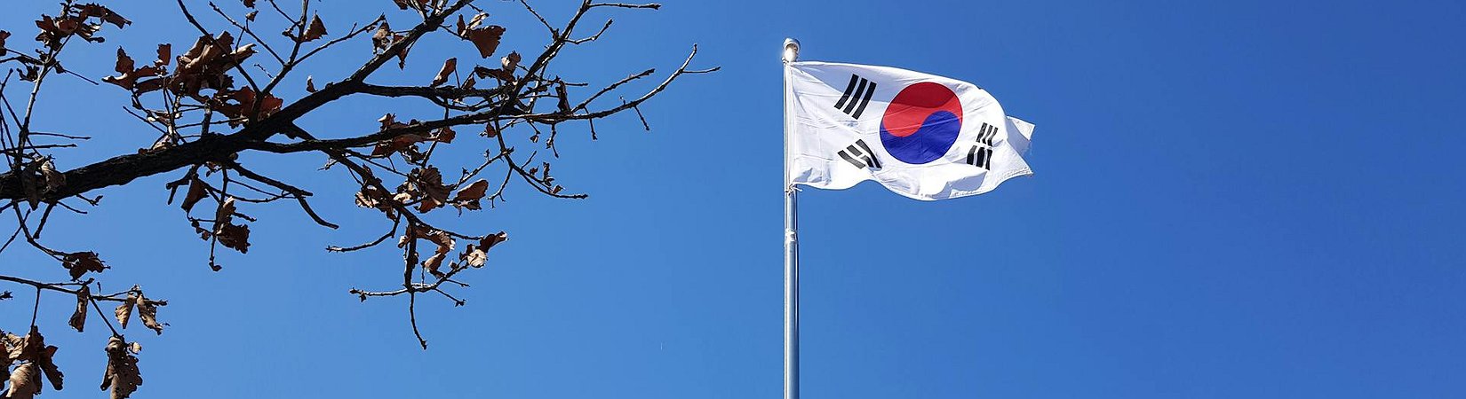 South Korea's Government Plans to Allow Bitcoin ETFs
