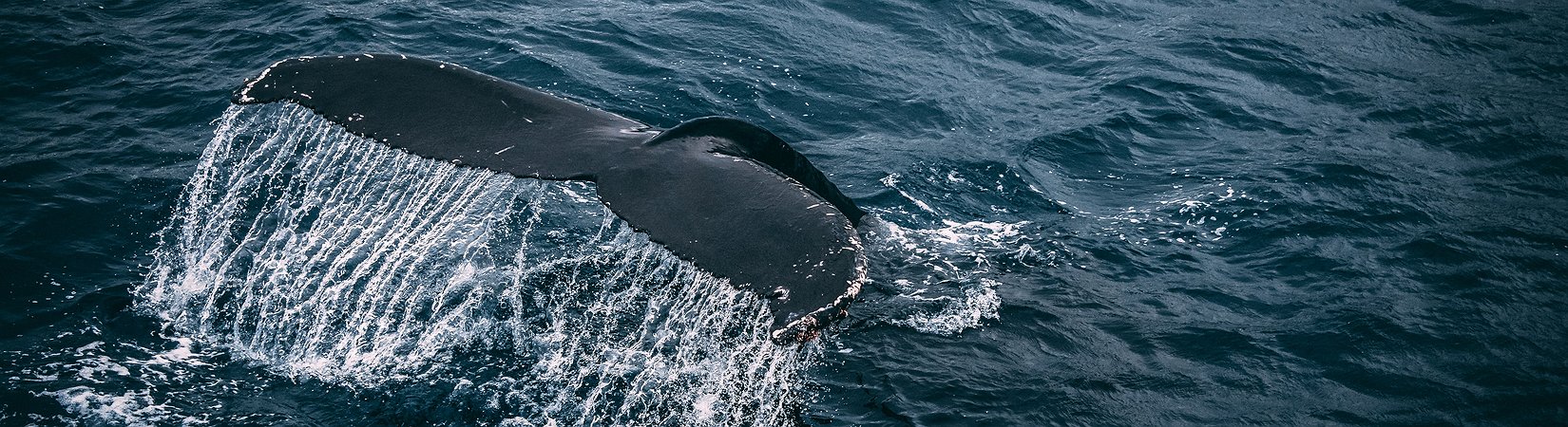 Principales noticias del 03/11/2021