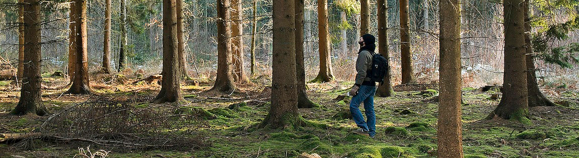 27 hechos asombrosos en los que tal vez no habías pensado