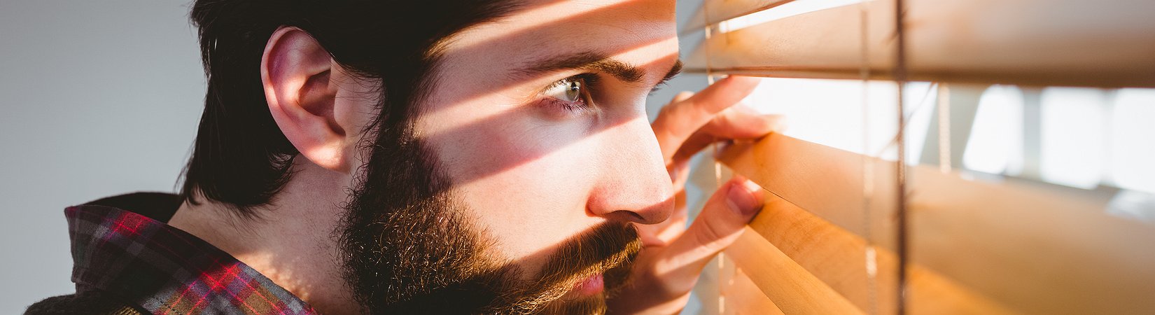 Bogle y Buffett coinciden: No miréis las acciones