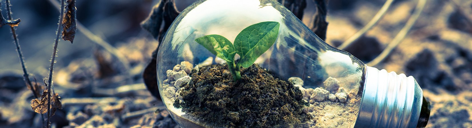 El precio del bitcoin vuelve a superar los 4.000 $