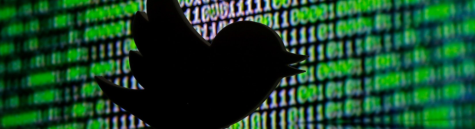 Twitter planeia despedir centenas de colaboradores