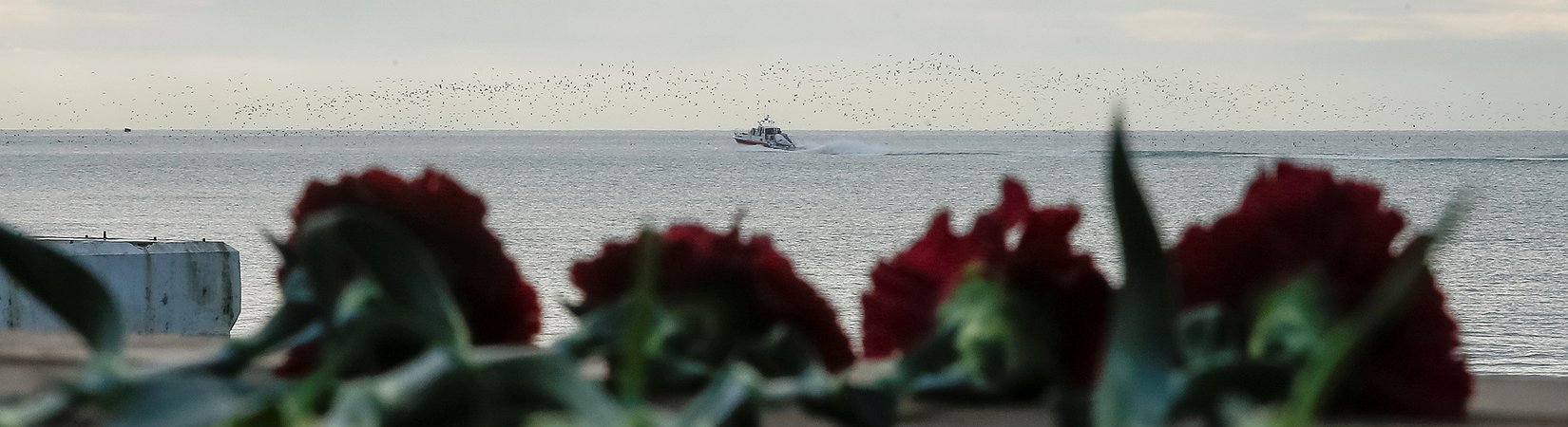 Localizan una caja negra del avión ruso que se estrelló en el mar Negro