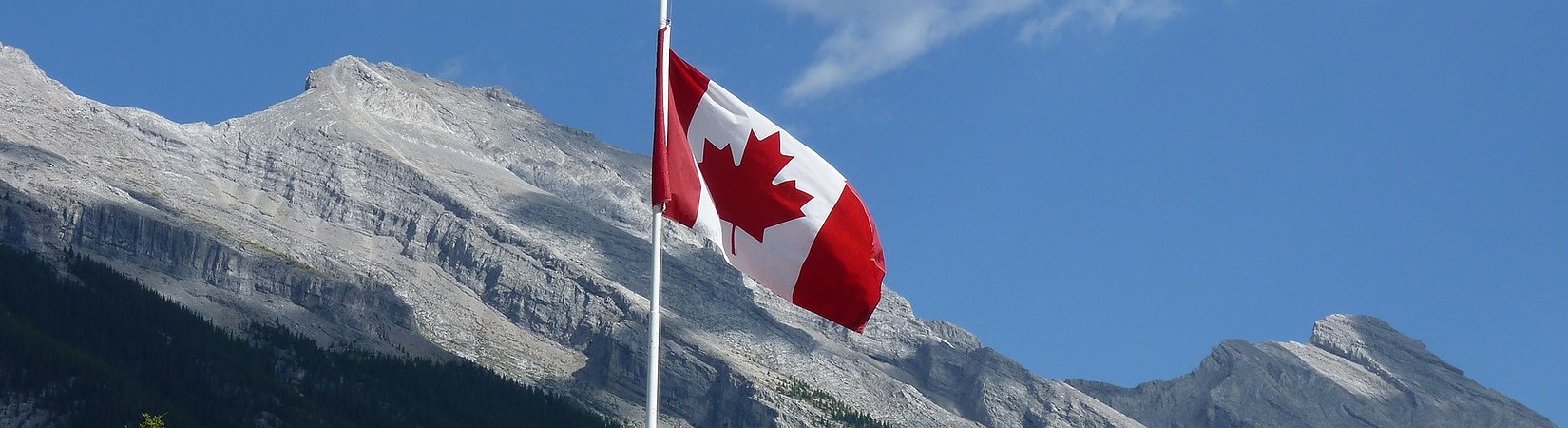 Canadá financia a 2 empresas blockchain que quieren hacer seguimiento del acero