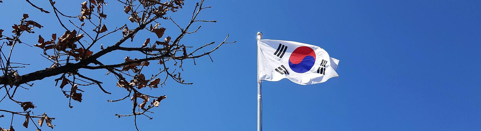 South Korea Excludes Cryptocurrencies from its New Donations Act