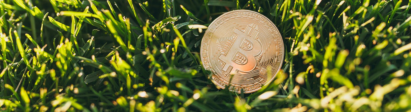 Revisión del mercado de las criptomonedas del 23/07/2018