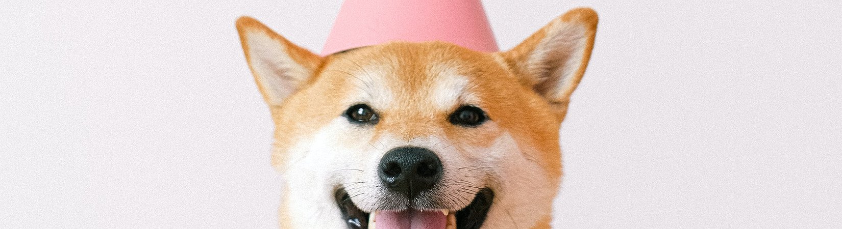 Gemini Adds Support for Dogecoin