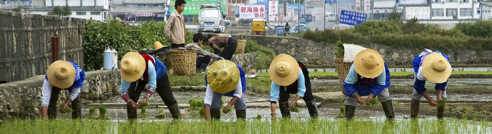 الصين تخبئ ثراءها