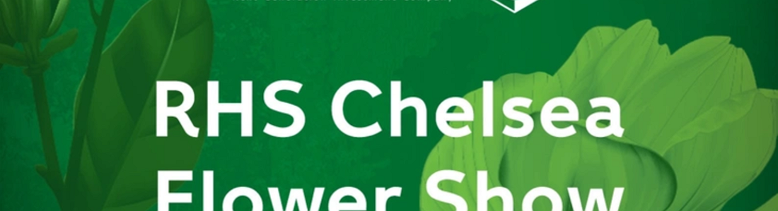 EXANTE’s Garden Found New Home at the National Hospital for Neurology