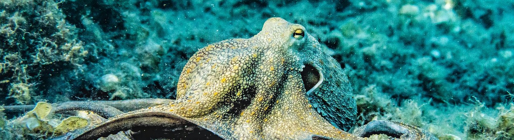 Kraken Expands Perpetual Futures Trading to Retail Investors