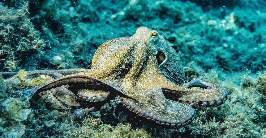 Kraken Expands Perpetual Futures Trading to Retail Investors