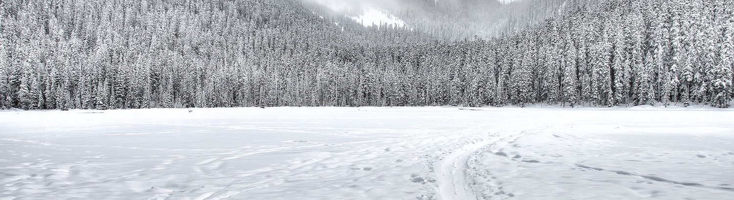 Llega el criptoinvierno