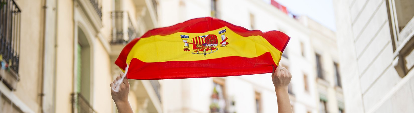 La economía española - todo de color rosa