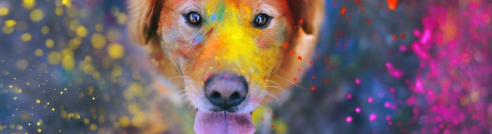 Las 32 fiestas más increíbles del mundo