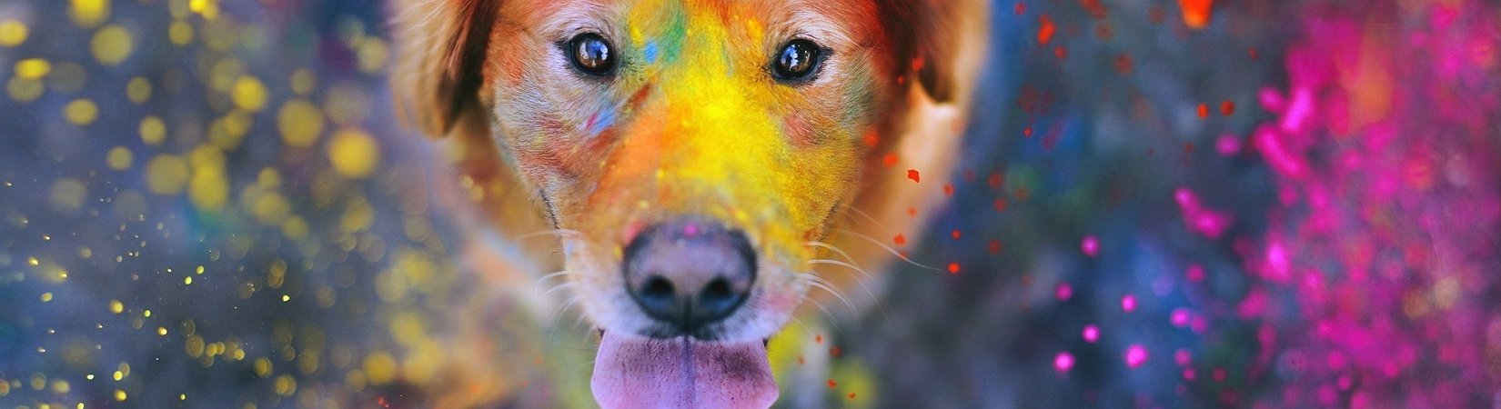 32 من الاحتفالات الأكثر جاذبية في العالم