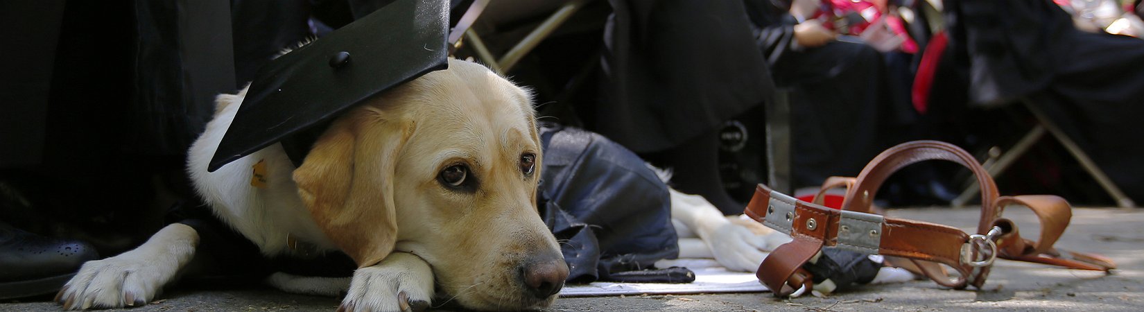 روزماري اندرسون تبلغ 57 عاما ولا تزال تدفع القرض الطلابي. بقي عليها 152 ألف دولار