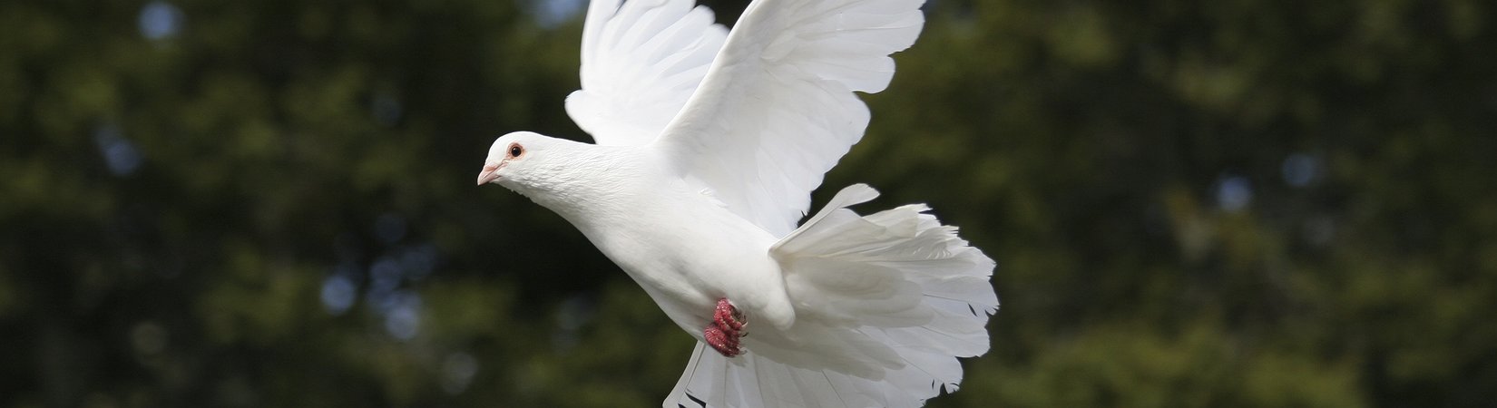 Estados Unidos y Rusia presentan un proyecto sobre la tregua de Siria ante la ONU