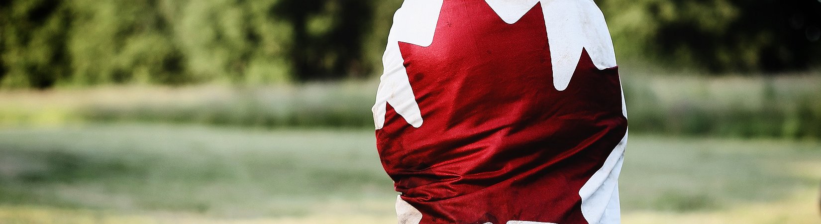 QuadrigaCX podría haber almacenado ETH en Kraken, Bitfinex y Poloniex