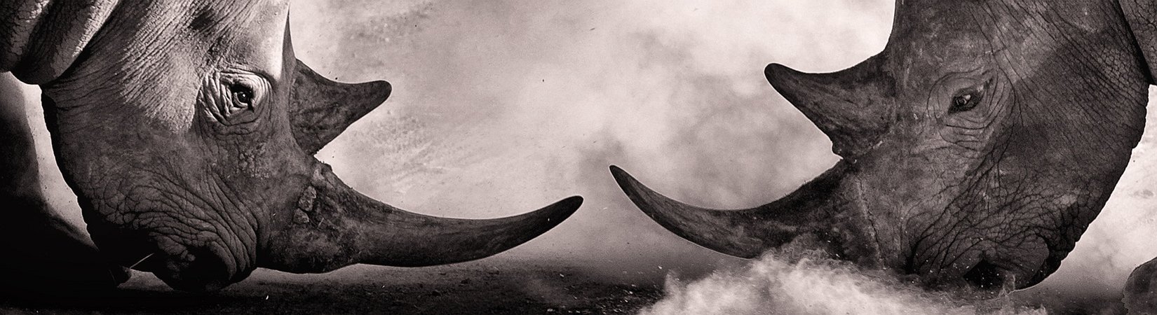 IOTA Founder Feud Fixed