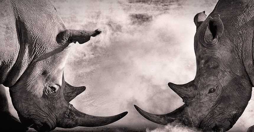 IOTA Founder Feud Fixed