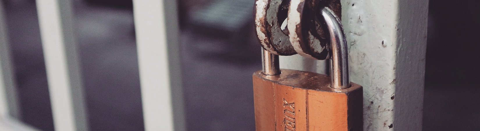 Cathie Wood: Crypto Assets Have Become a Hedge During Banking Crisis