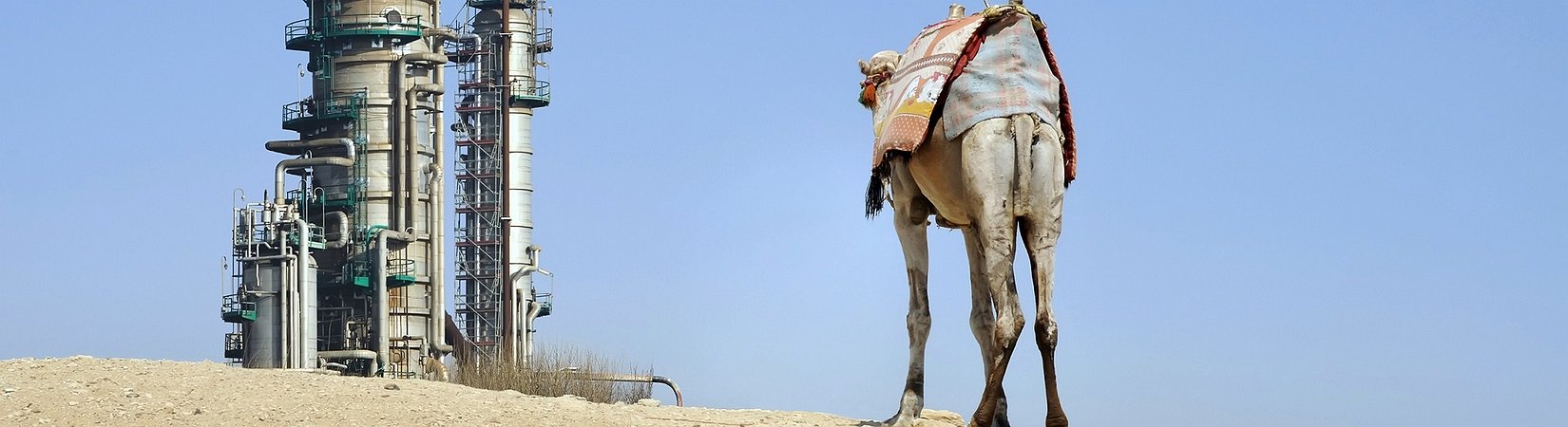 Saudi Arabia warns Trump against his election promises on oil