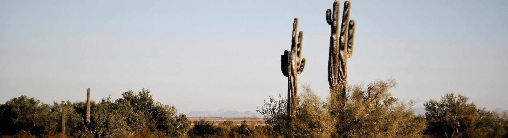 Arizona Passes Several Bills to Create a Bitcoin Reserve