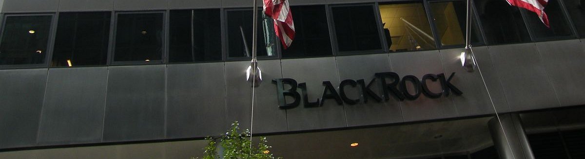 BlockRock's Fink Says $9T Manager Sees Increased Demand for Crypto