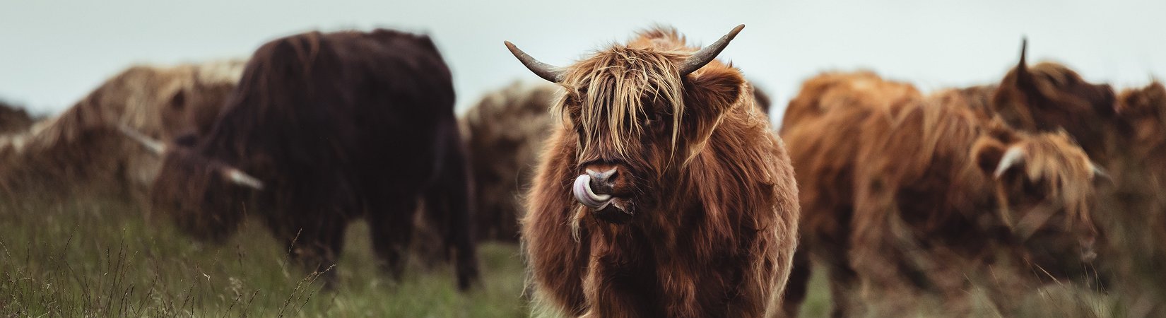 ¿Van a subir las criptomonedas? 5 signos de una tendencia alcista