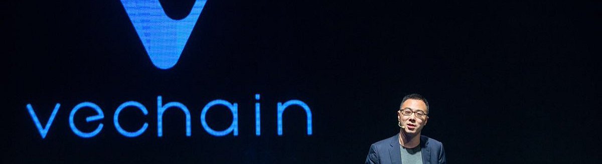 Cómo comprar la criptomoneda VeChain: instrucciones paso a paso