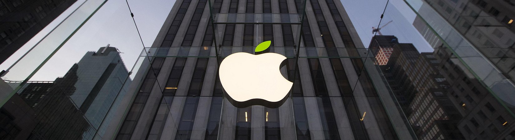 معركة الوزن الثقيل قادمة