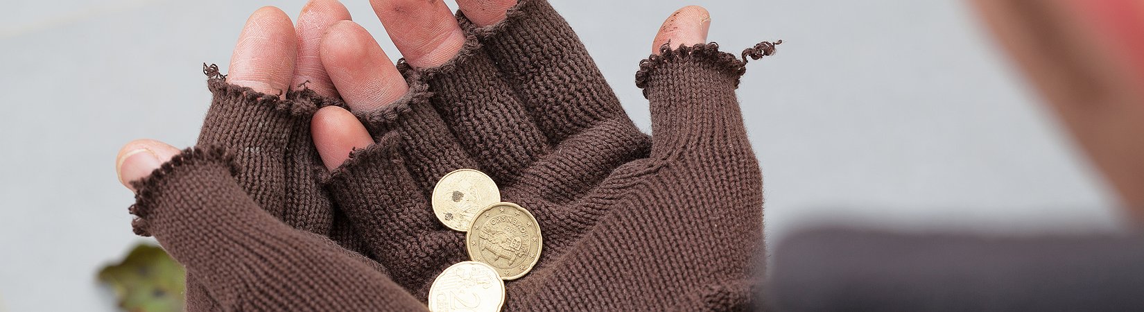 السوق ليست للعباقرة