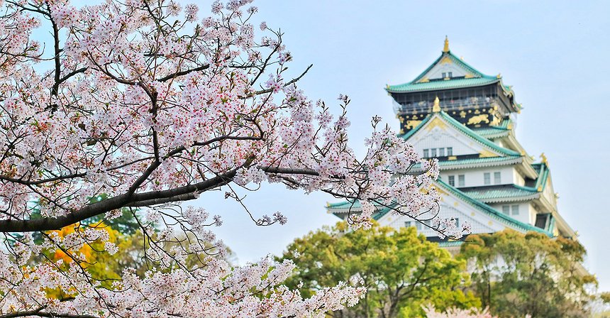 Japan to Invest in Metaverse and NFTs