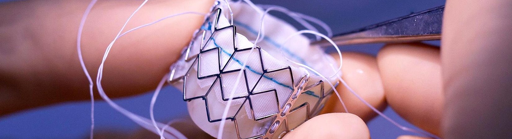  Las 10 mejores acciones del año 2014