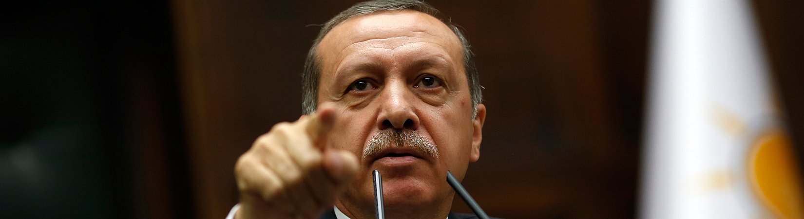 L'Erdoganismo: un dizionario per comprendere il nuovo Stato turco