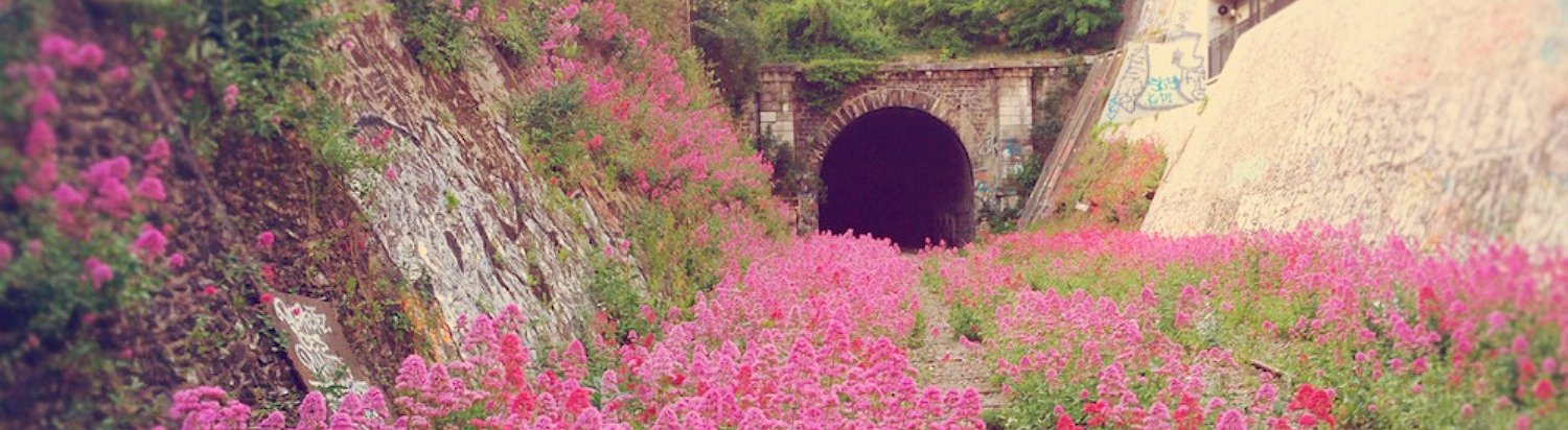 20 Fotos em que a natureza venceu a civilização