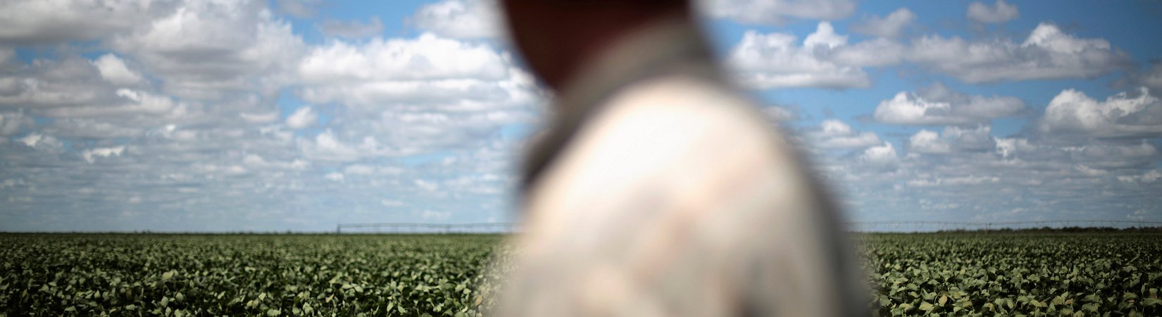 Los mercados de materias primas están viviendo un momento de calma