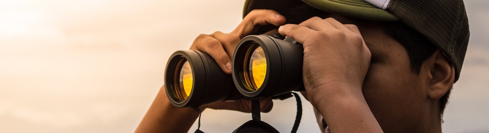 Bitcoin, Ethereum… and Chainlink. How They Got to Stand in One Row, and Why One Should Track LINK