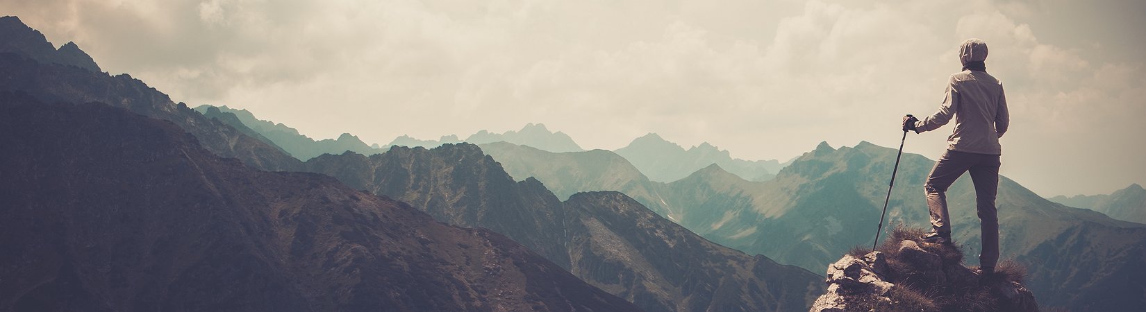 أعالي الأسواق الأمريكية