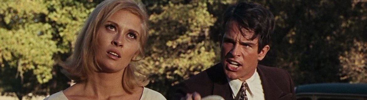 Gonzo Crypto Blog - Week Nine: Scam you Silly