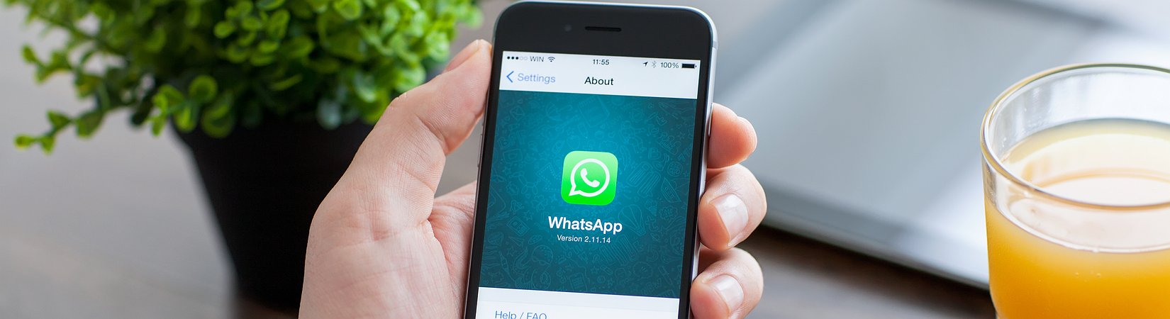 WhatsApp no Brasil: a fronteira entre a privacidade e a transparência