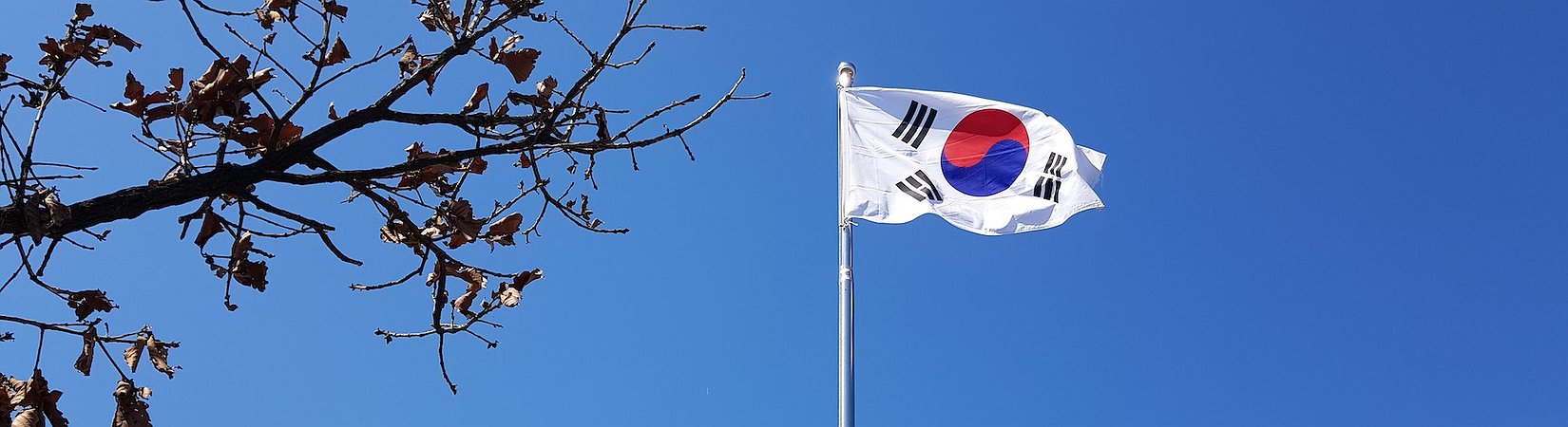South Korean Authorities Raid the Offices of Upbit and Bithumb