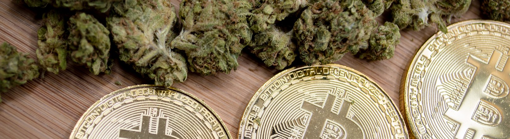 High On Hype: Cannabis Vs. Crypto